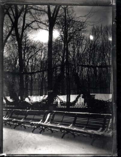A series of benches lined up in the snow with trees and open space beyond