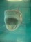 The Physical Impossibility of Death in the Mind of Someone Living, Damien Hirst A shark seen front on with his jaws wide open
