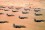 U.S. fighter aircraft parked on an air field during Operation Desert Shield