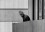Arab Commando Group Seizes Members of the Israeli Olympic Team at their Quarters at the Munich Olymp A masked man looking over a balcony on a modern building